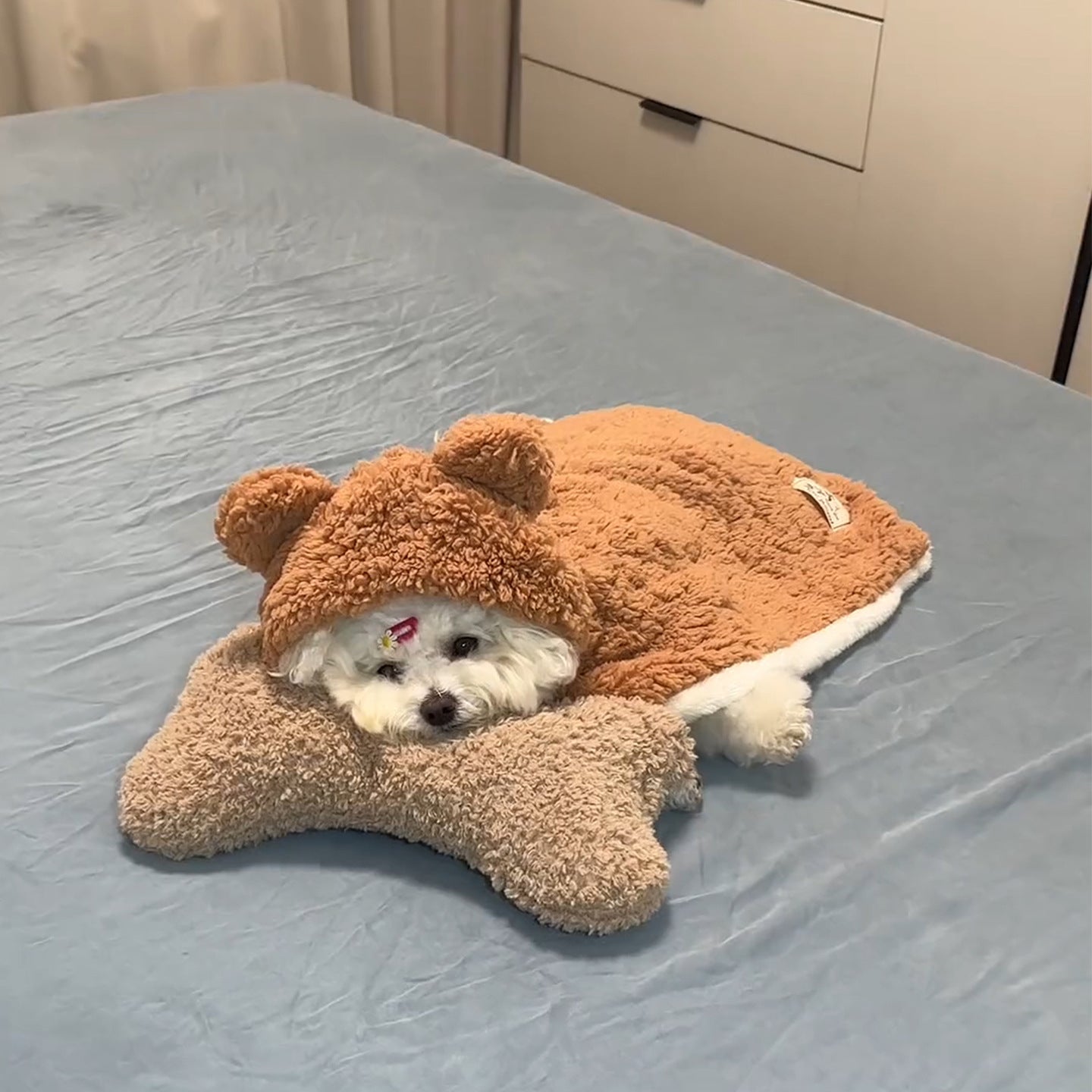 Pet Blankets