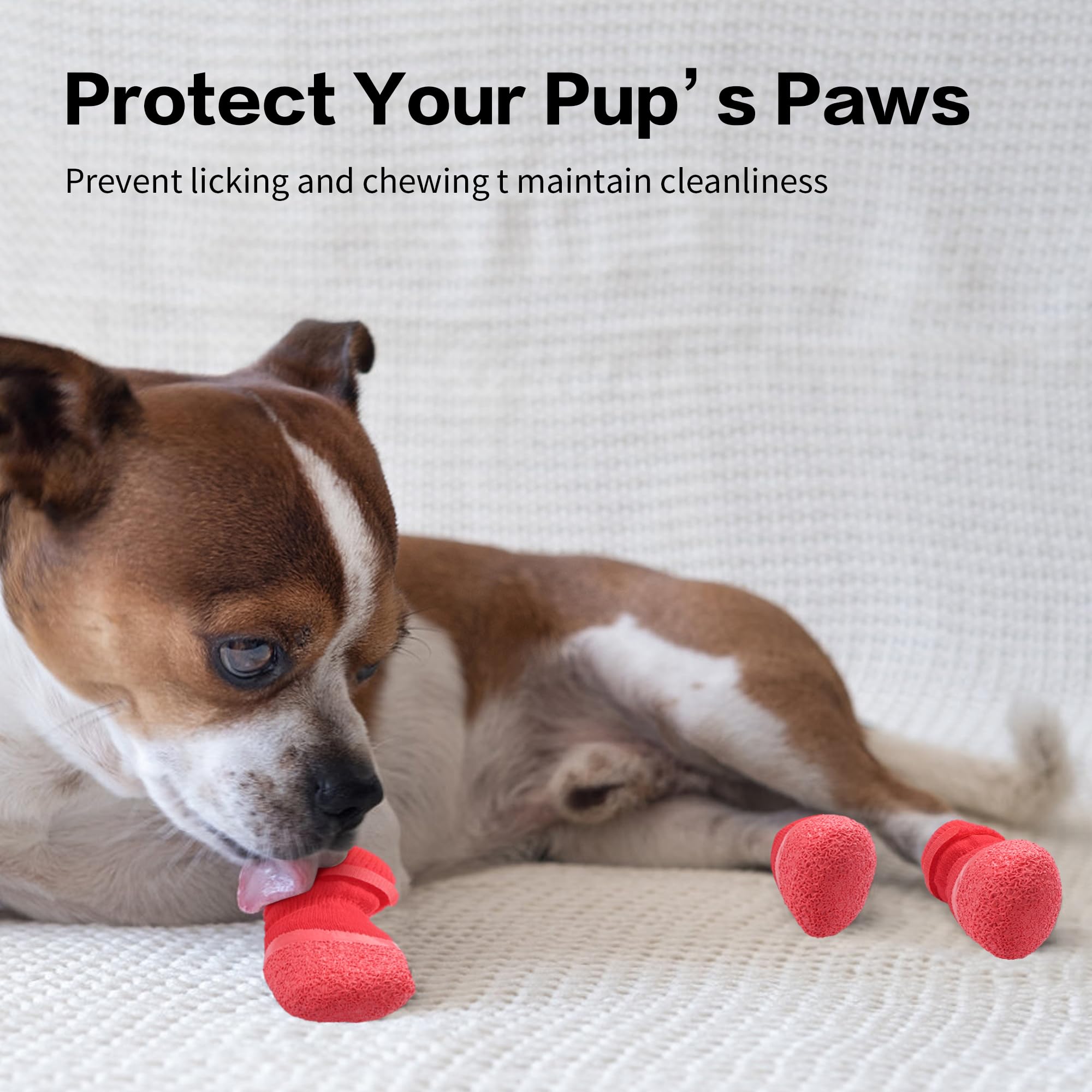 Anti Slip Dog Socks For Hardwood Floors