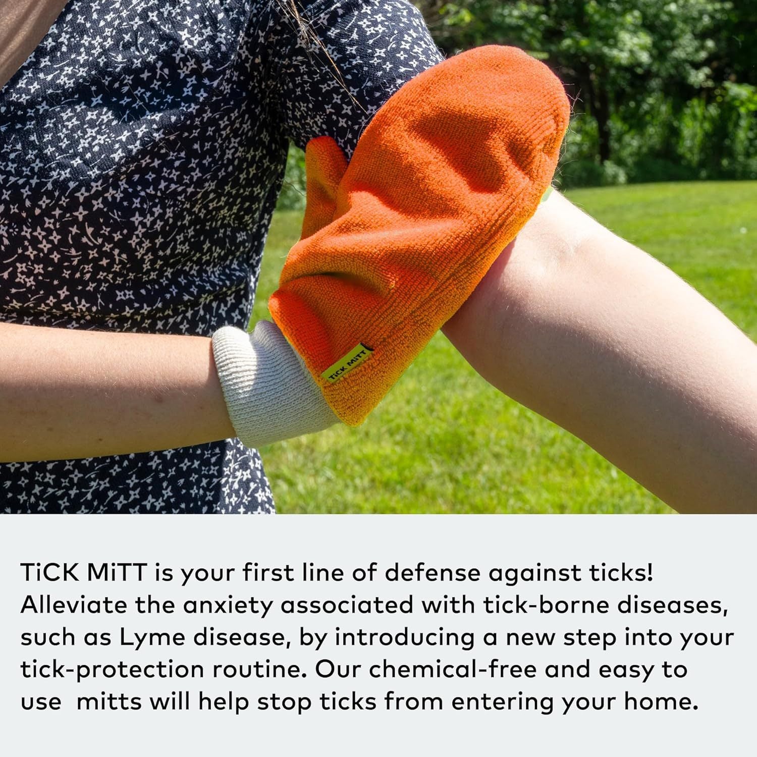 Pet Tick Remover Flea And Lice Removal